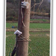 Image for article titled Charging A Tesla In Rural China The Dangerous, Illegal Way
